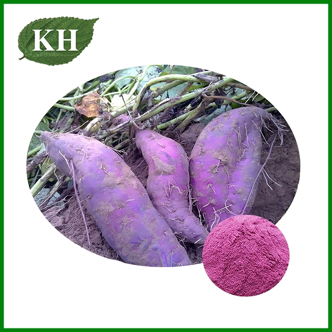 Purple Sweet Potato Extract